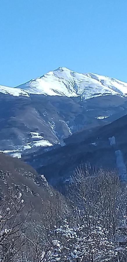 La Casetta Della Nonna Holiday home